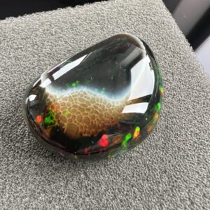 zwarte Stayish opaal